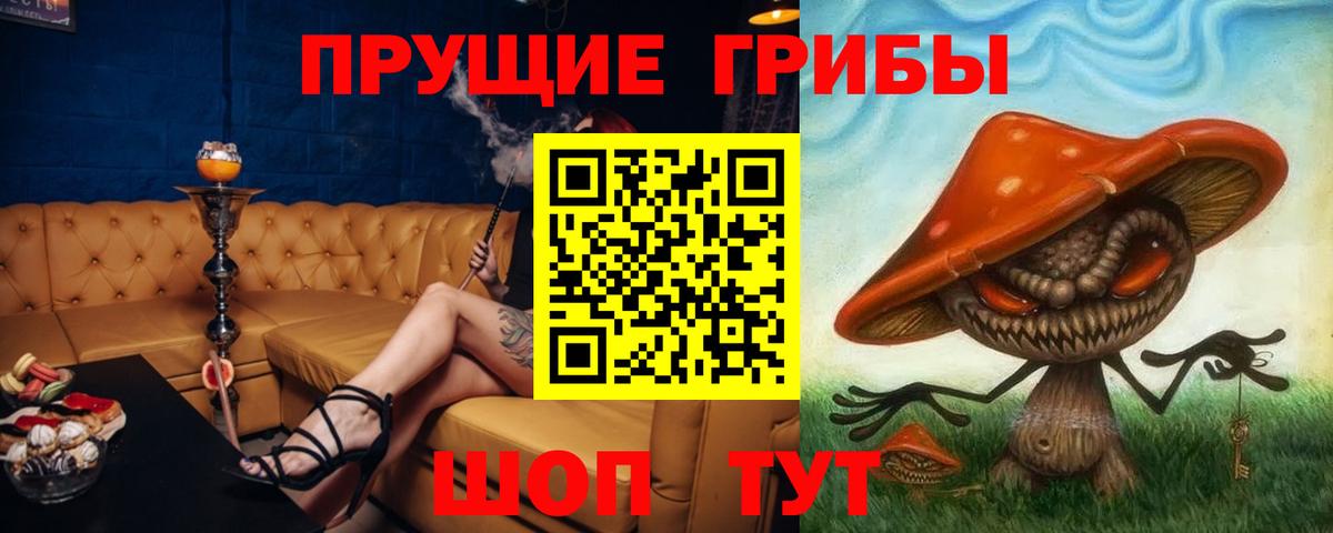 Псилоцибиновые грибы Psilocybe Красноуфимск